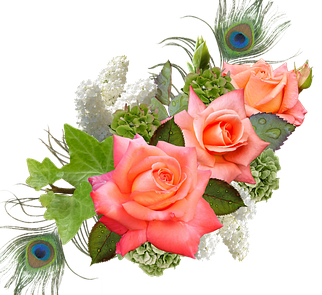 a corsage of 3 friendly peachy roses