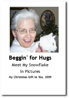 Beggin' for Hugs - card cover for 2009