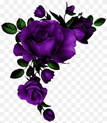Dark Purple Roses -
full of Mystery and Surprises